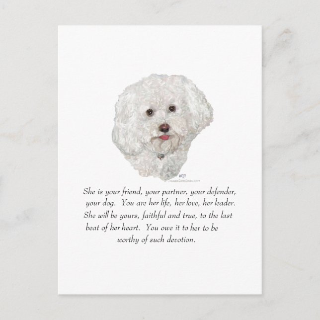Bichon Frise Keepsake FEMALE Postcard (Front)