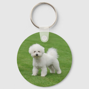 Bichon Frise Key Ring