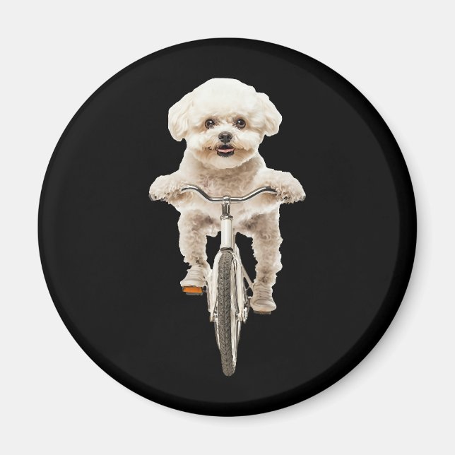 Bichon Frise Magnet (Front)