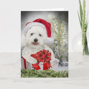 Bichon Frise Merry Christmas Holiday Card