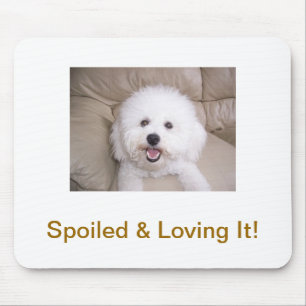 Bichon Frise Mouse Pad