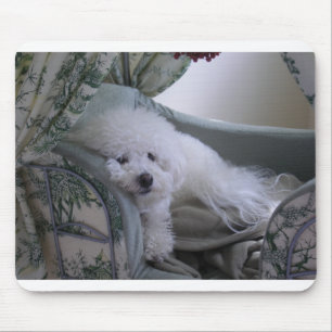 BICHON FRISE MOUSE PAD