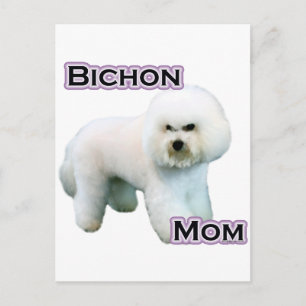 Bichon Frise Mum 4 Postcard