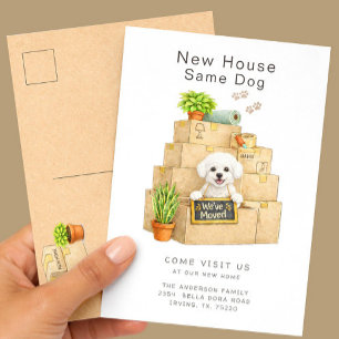Bichon Frise New House Moving Announcement Postcard