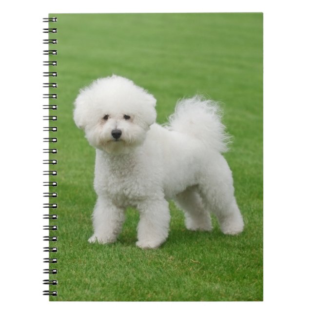 Bichon Frise Notebook (Front)