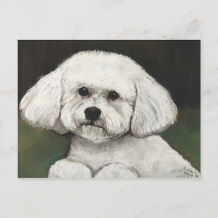Bichon Frise Original Dog Art Postcard