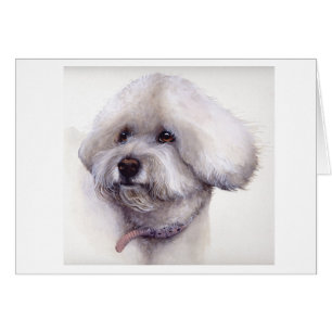 Bichon Frise Painted in Watercolour