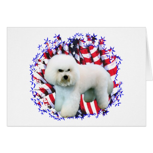 Bichon Frise Patriot (Front Horizontal)