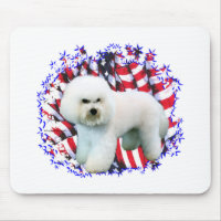 Bichon Frise Patriot