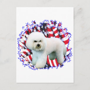 Bichon Frise Patriot Postcard