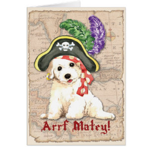 Bichon Frise Pirate Card
