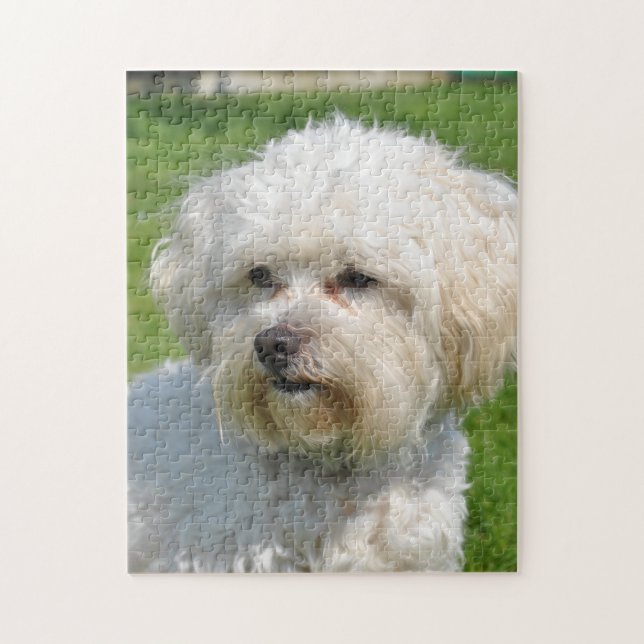 Bichon Frise Portrait Jigsaw Puzzle (Vertical)