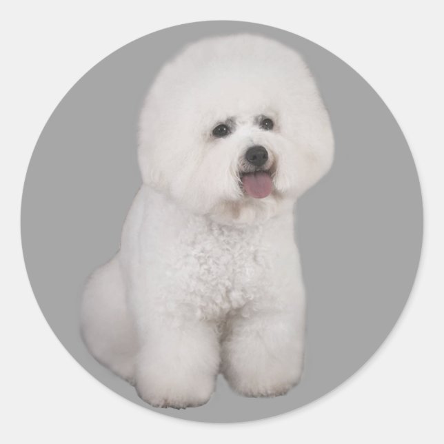 Bichon Frise Precious Sticker (Front)