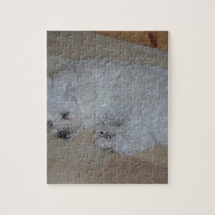 Bichon_Frise_puppy_sleeping Jigsaw Puzzle