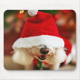Bichon Frise puppy wearing Santa costume Mouse Pad