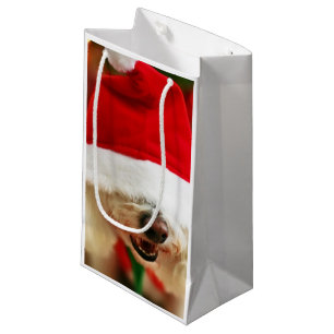 Bichon Frise puppy wearing Santa costume Small Gift Bag