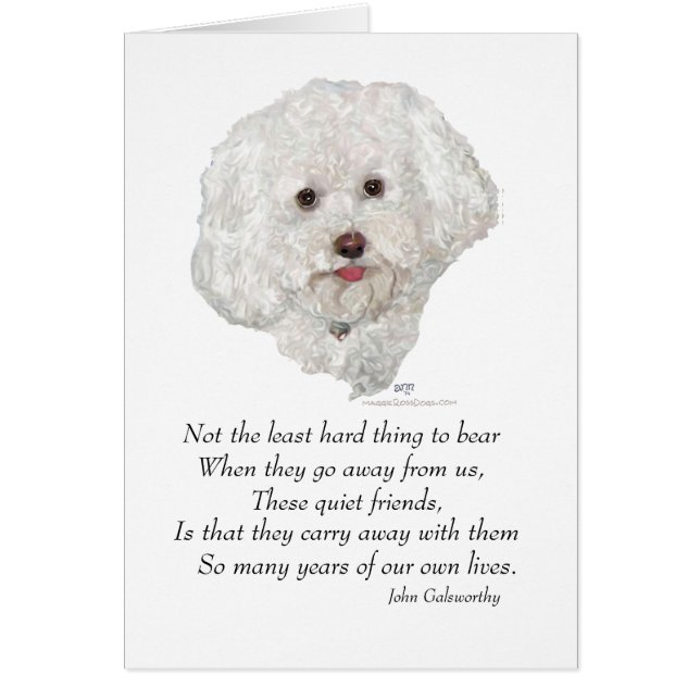 Bichon Frise Rainbow Bridge (Front)