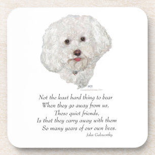 Bichon Frise Rainbow Bridge Coaster