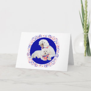 Bichon Frise Red White Blue Card