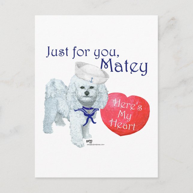 Bichon Frise Sailor Valentine Holiday Postcard (Front)