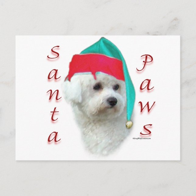 Bichon Frise Santa Paws Holiday Postcard (Front)
