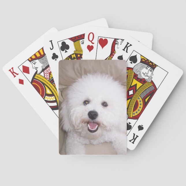 Bichon Frise Smiling Dog Playing Cards (Back)