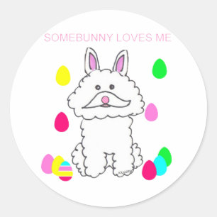 Bichon Frise Somebunny Loves Me Classic Round Sticker