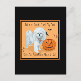 Bichon Frise Trick or Treat Postcard