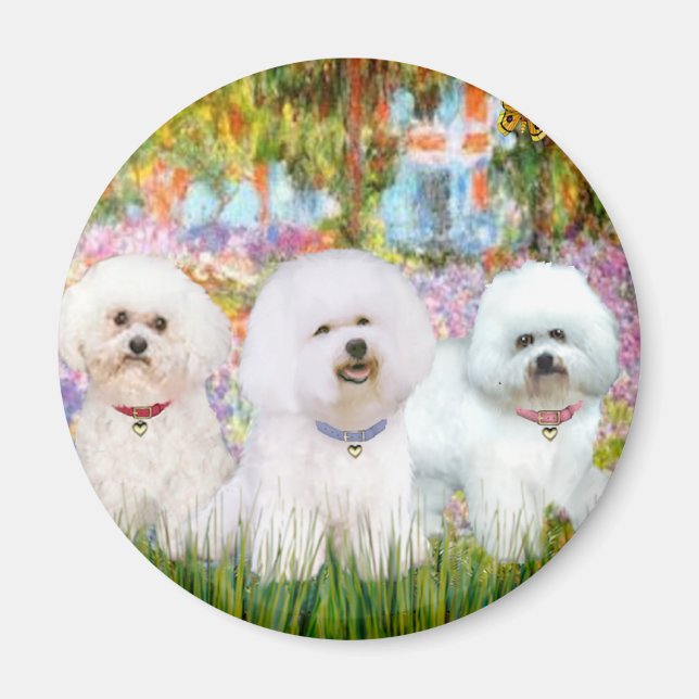 Bichon Frise Trio - Garden (VG) Magnet (Front)