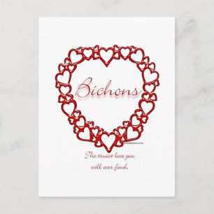 Bichon Frise True Love Postcard