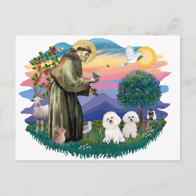 Bichon Frise (two) Postcard (Front)