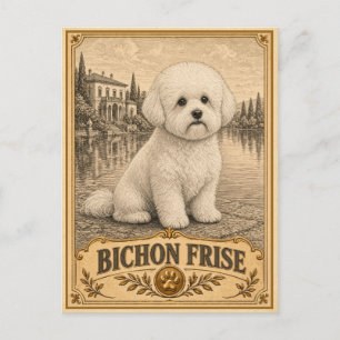 Bichon Frise, Vintage Heritage Dog Postcard