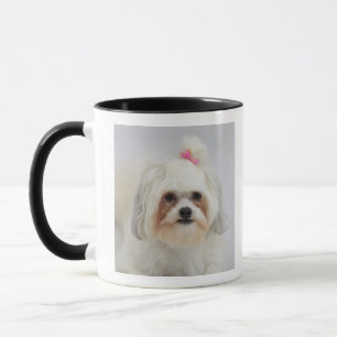 bichon frise with a pink bow in it's hair mug