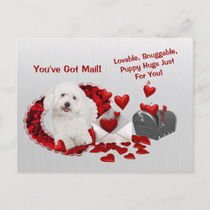 Bichon Frise You've Got Mail Puppy Hugs Valentine Holiday Postcard