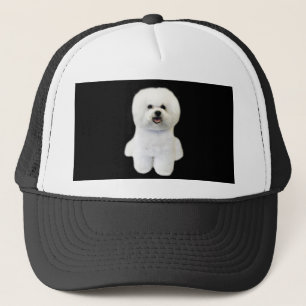 Bichon Hat