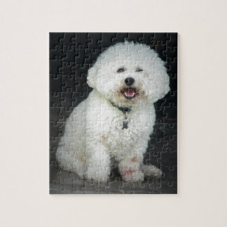 Bichon Jigsaw Puzzle