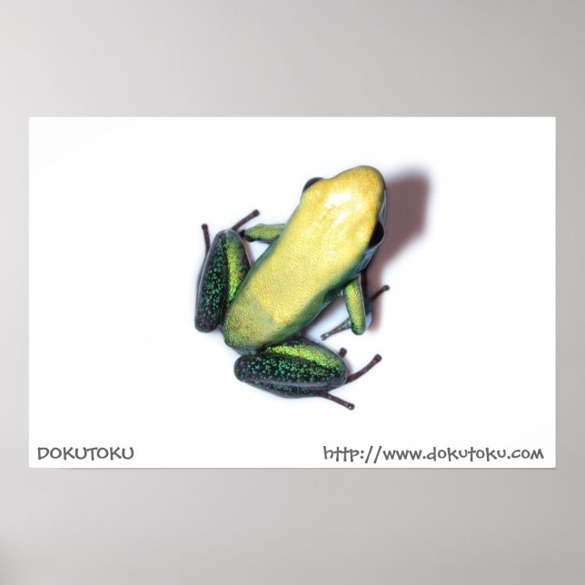 Bicolor Poster (Front)