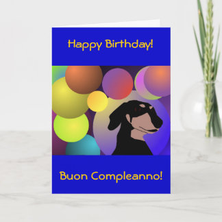 Bicontinental Dachshund Happy Birthday Card