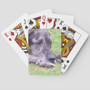 Bicycle Card Template - Customised