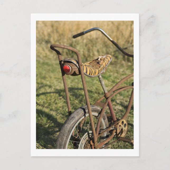 Bicycle Cycle Bicycling Cycling Banana Cruiser Postcard (Front)