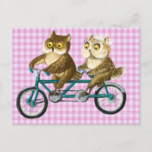 Bicycle owls postcard