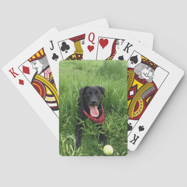 Bicycle® Playing Cards from Zazzle Instant (Back)