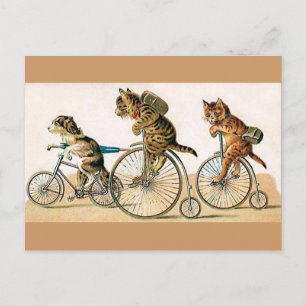 Bicycle Ride Postcard