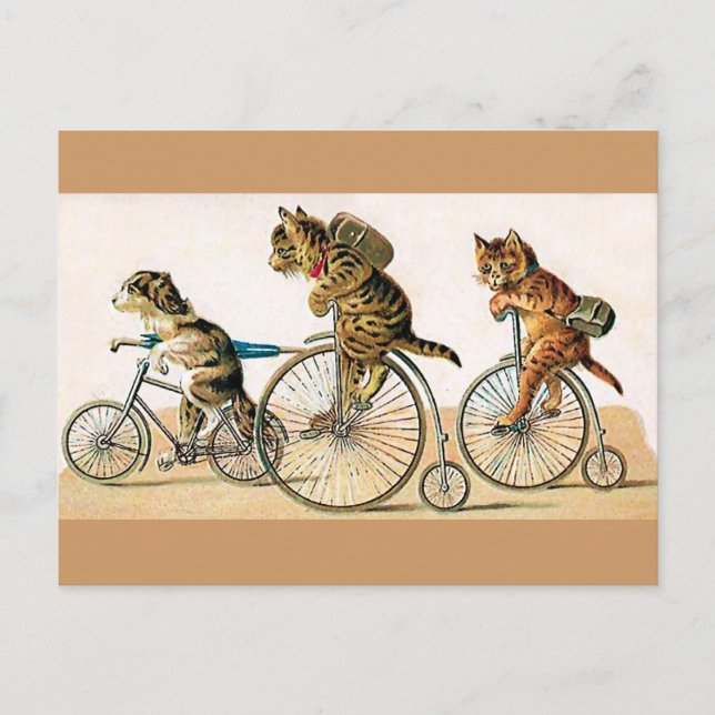 Bicycle Ride Postcard (Front)
