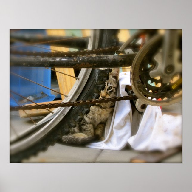 Bicycle Shelter 2 Poster (Front)