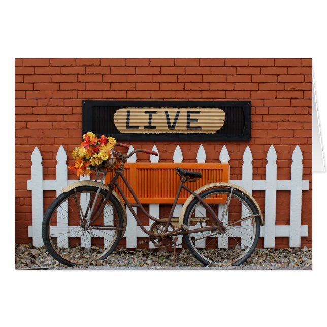Bicycle Still Life Live (Front Horizontal)