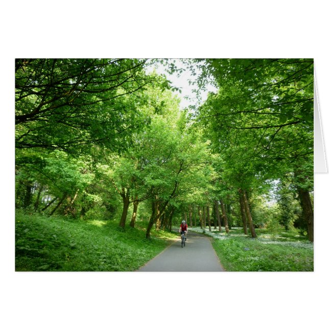 Bicycle Trail (Front Horizontal)