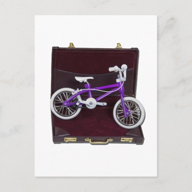 BicycleInBriefcase121611 Postcard (Front)