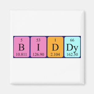 Biddy periodic table name magnet