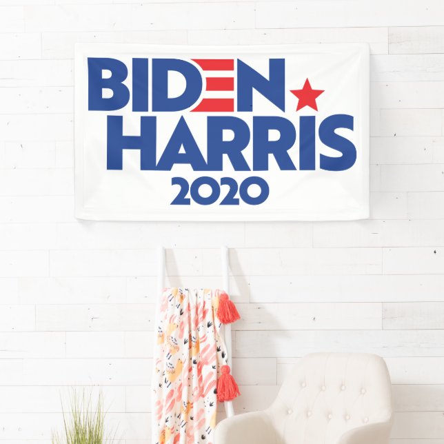 BIDEN HARRIS 2020 BANNER (Insitu)